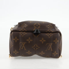Louis Vuitton Palm Springs mini