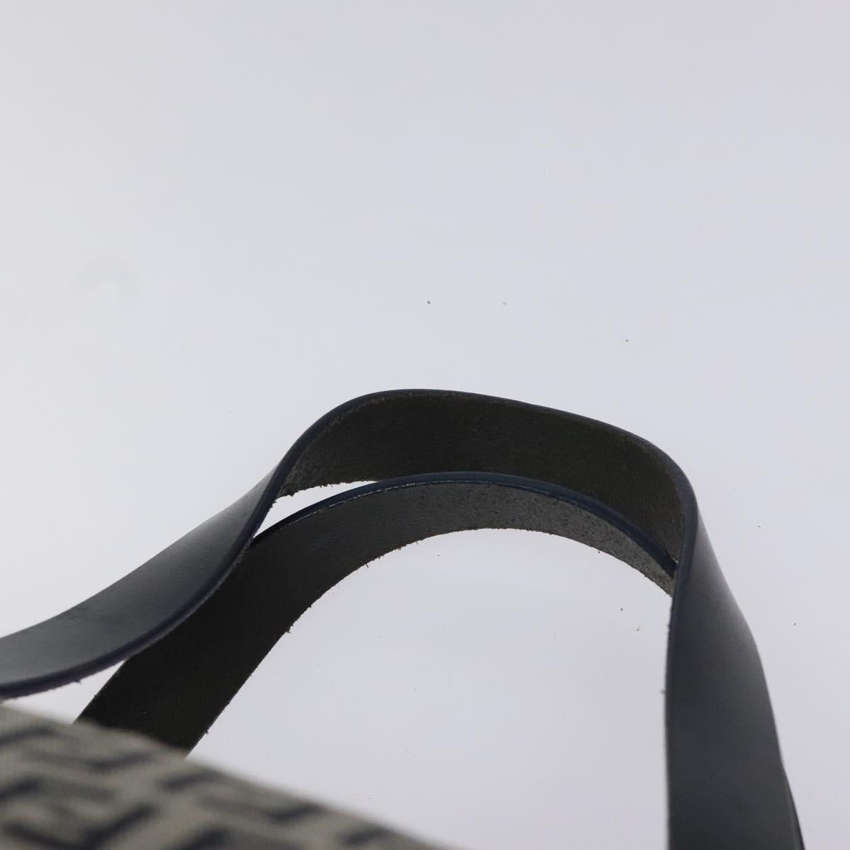 Fendi Zucchino