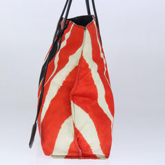 Fendi Zebra Tote