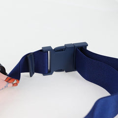 Gucci Belt bag