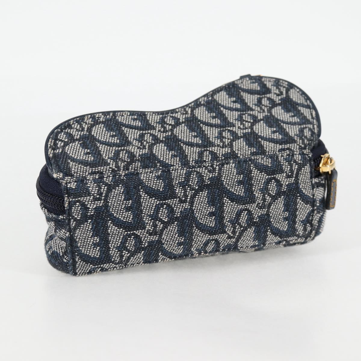 Dior Saddle