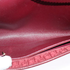Dior Trotter