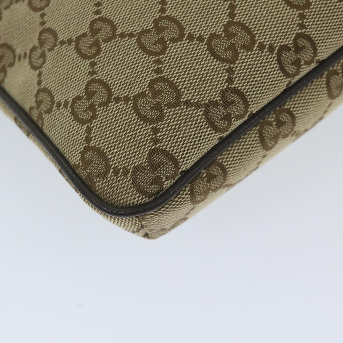 Gucci GG canvas