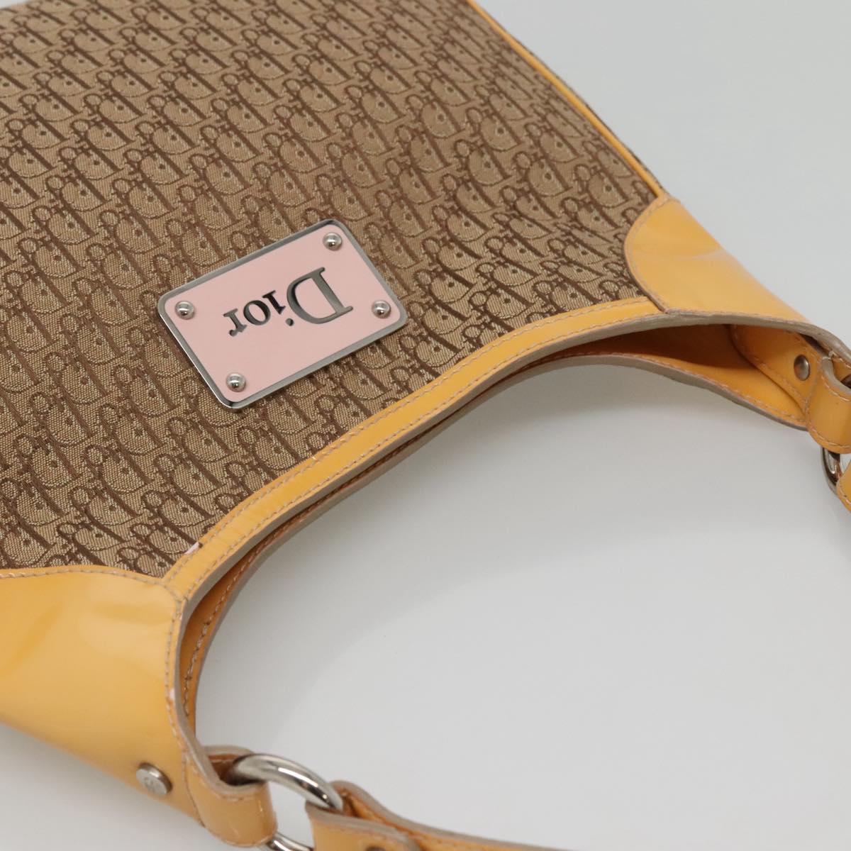 Dior Street Chic Hobo