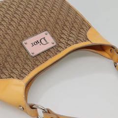 Dior Street Chic Hobo