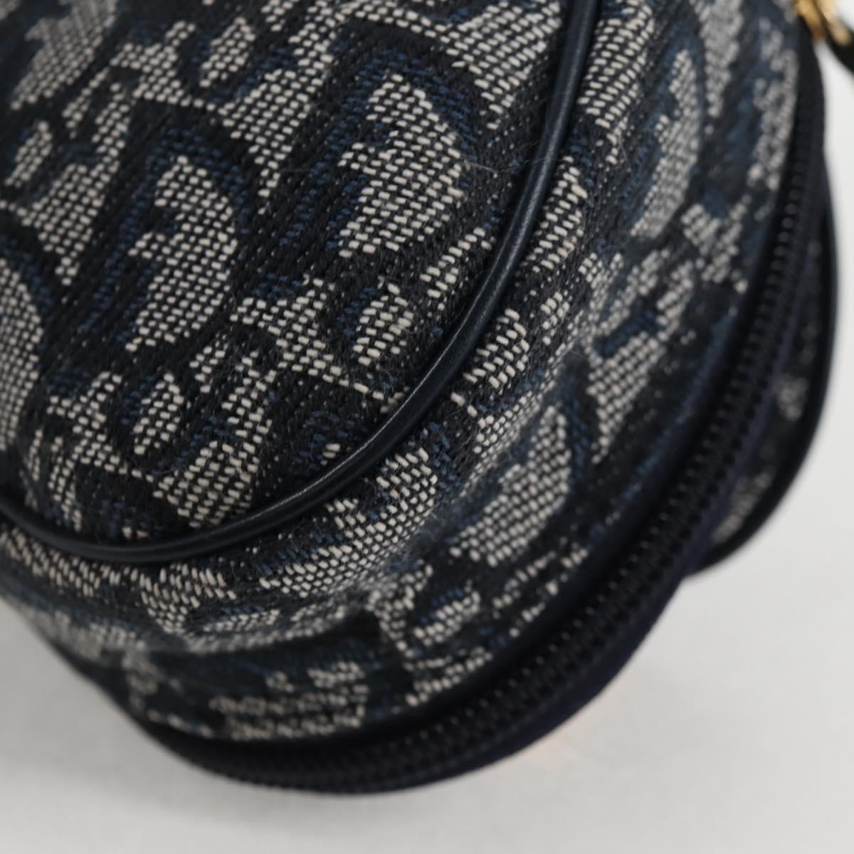 Dior Saddle