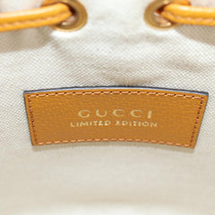 Gucci GG canvas