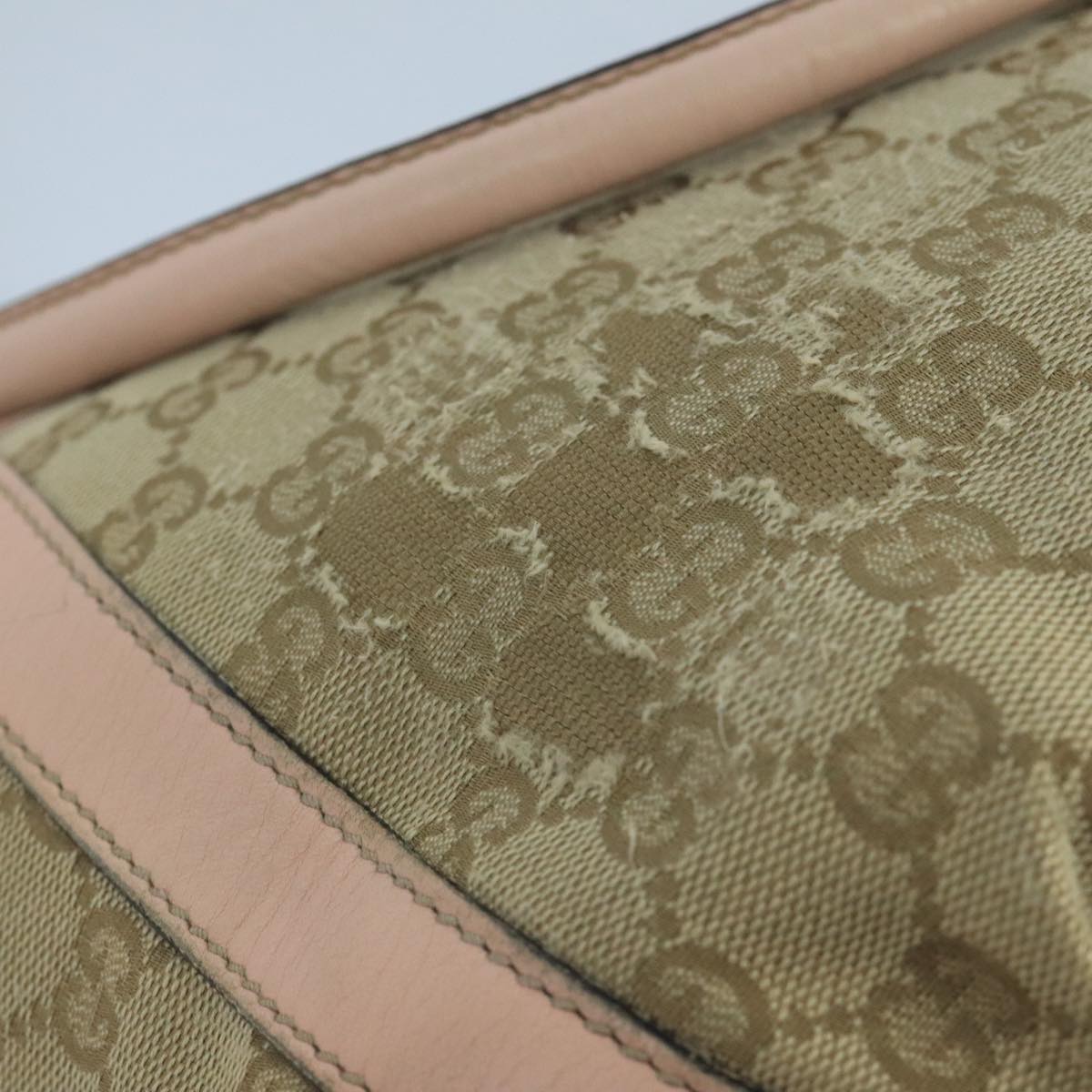 Gucci GG canvas