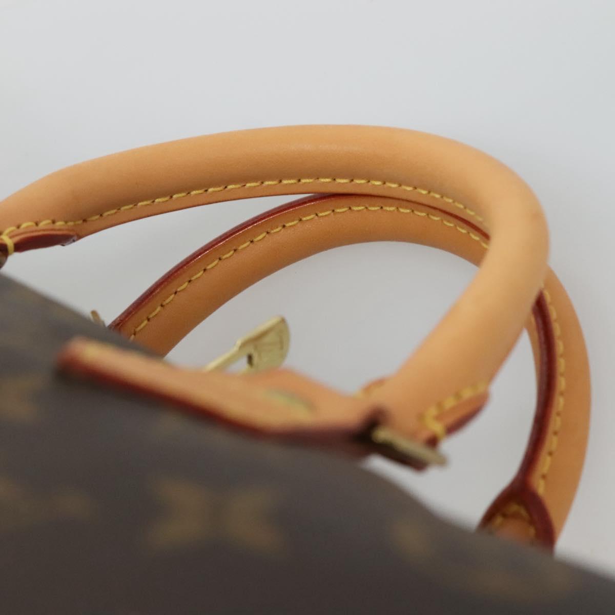 Louis Vuitton Speedy Bandoulière