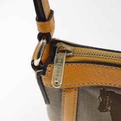 Céline Horse carriage