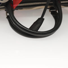 Dior Speedy