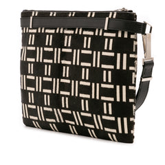 Pony Hair Clutch