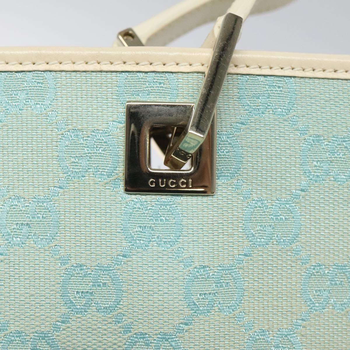 Gucci GG canvas