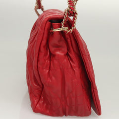 Dior Cannage Lady