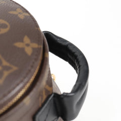 Louis Vuitton Palm Springs mini