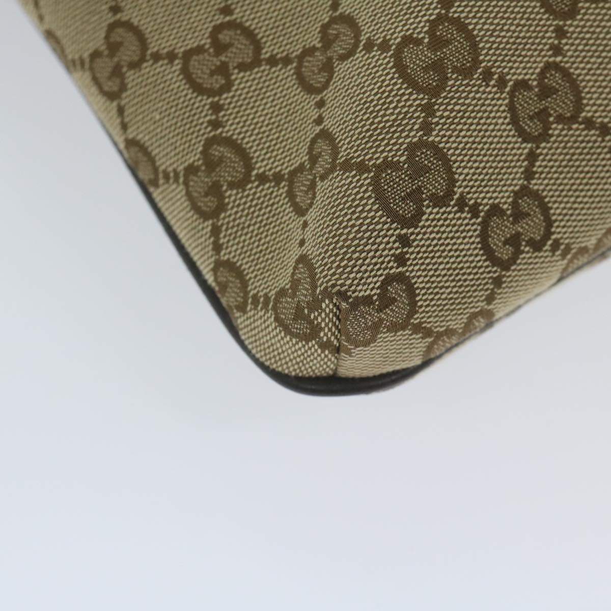 Gucci GG canvas