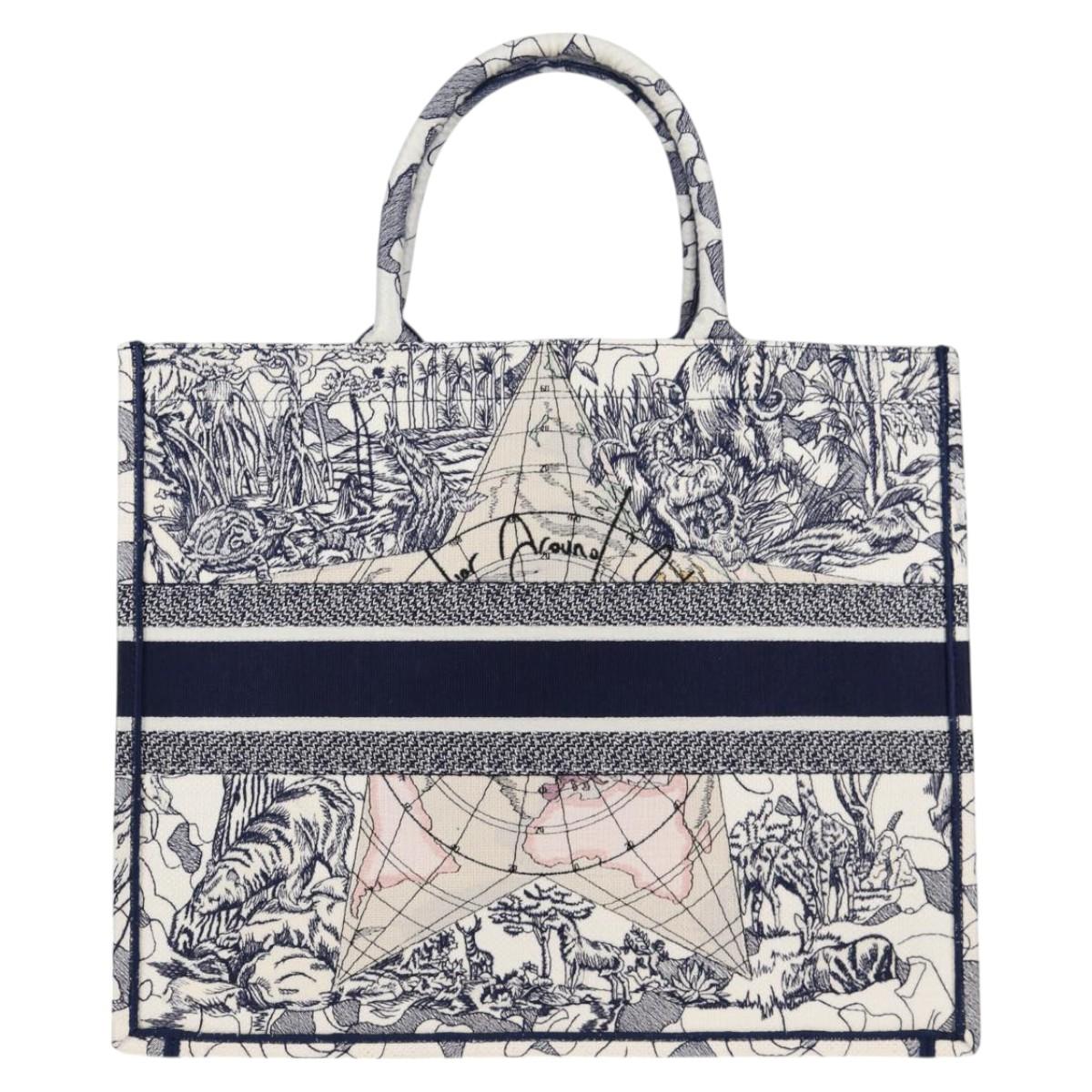 Dior Book Tote