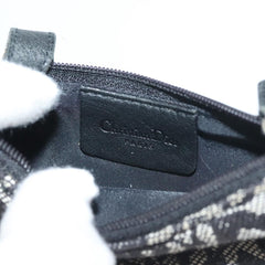 Dior Saddle