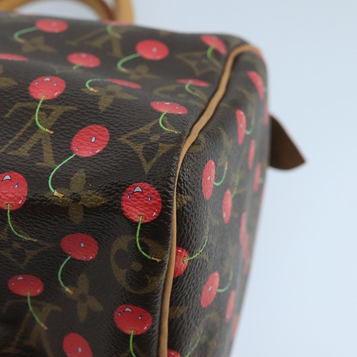 Louis Vuitton Speedy 25