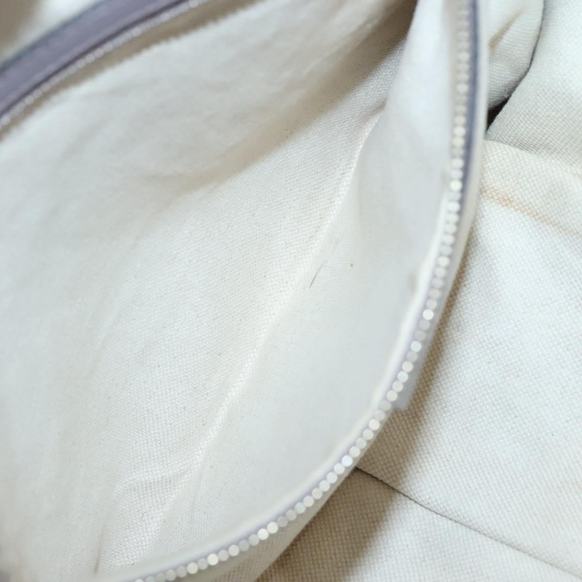Gucci GG canvas