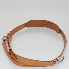 Louis Vuitton Soft Trunk
