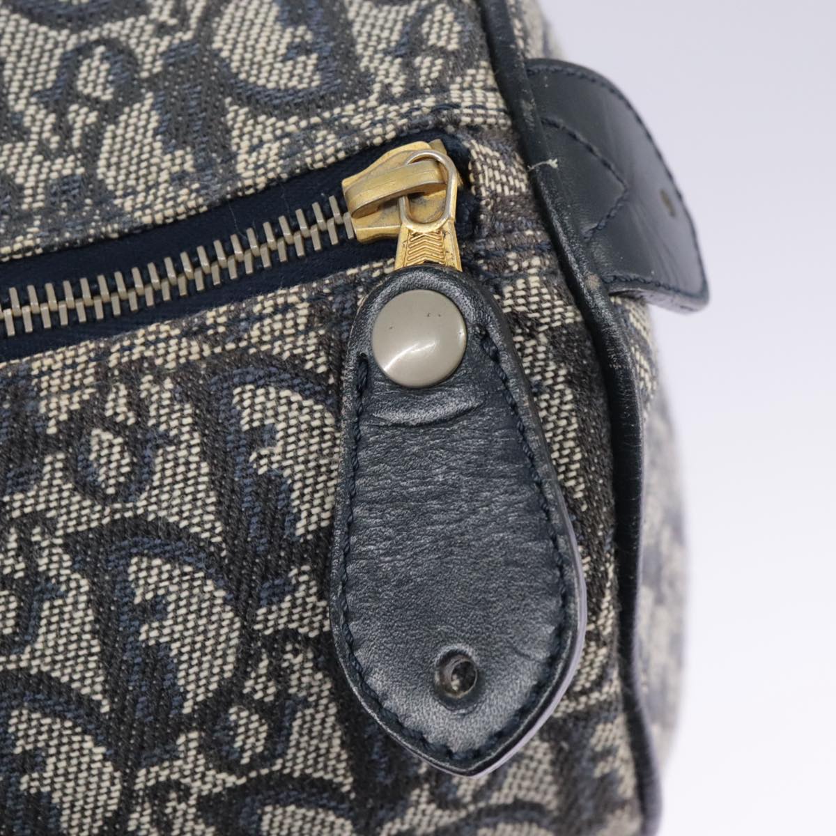 Dior Trotter