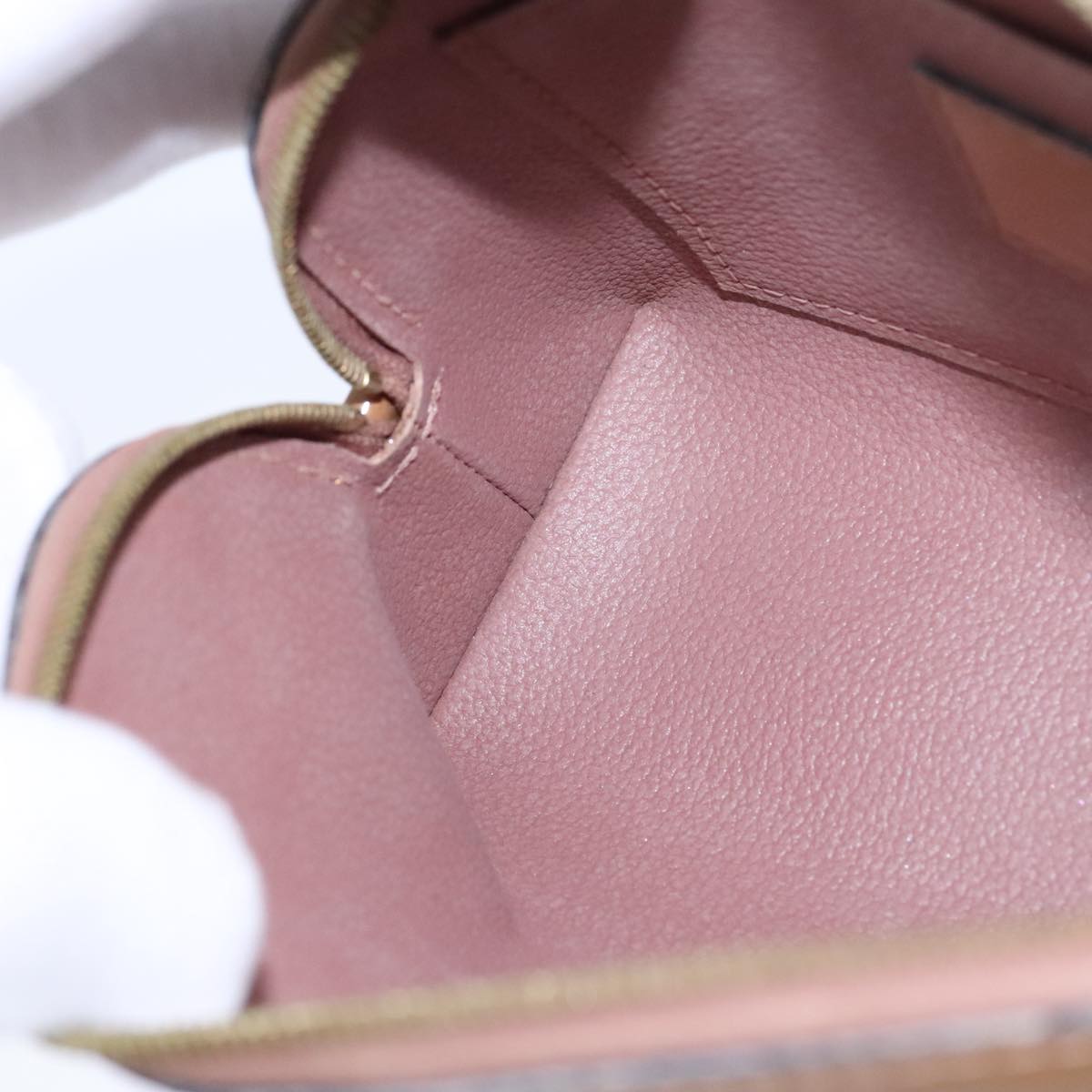 Louis Vuitton Cosmetic Pouch