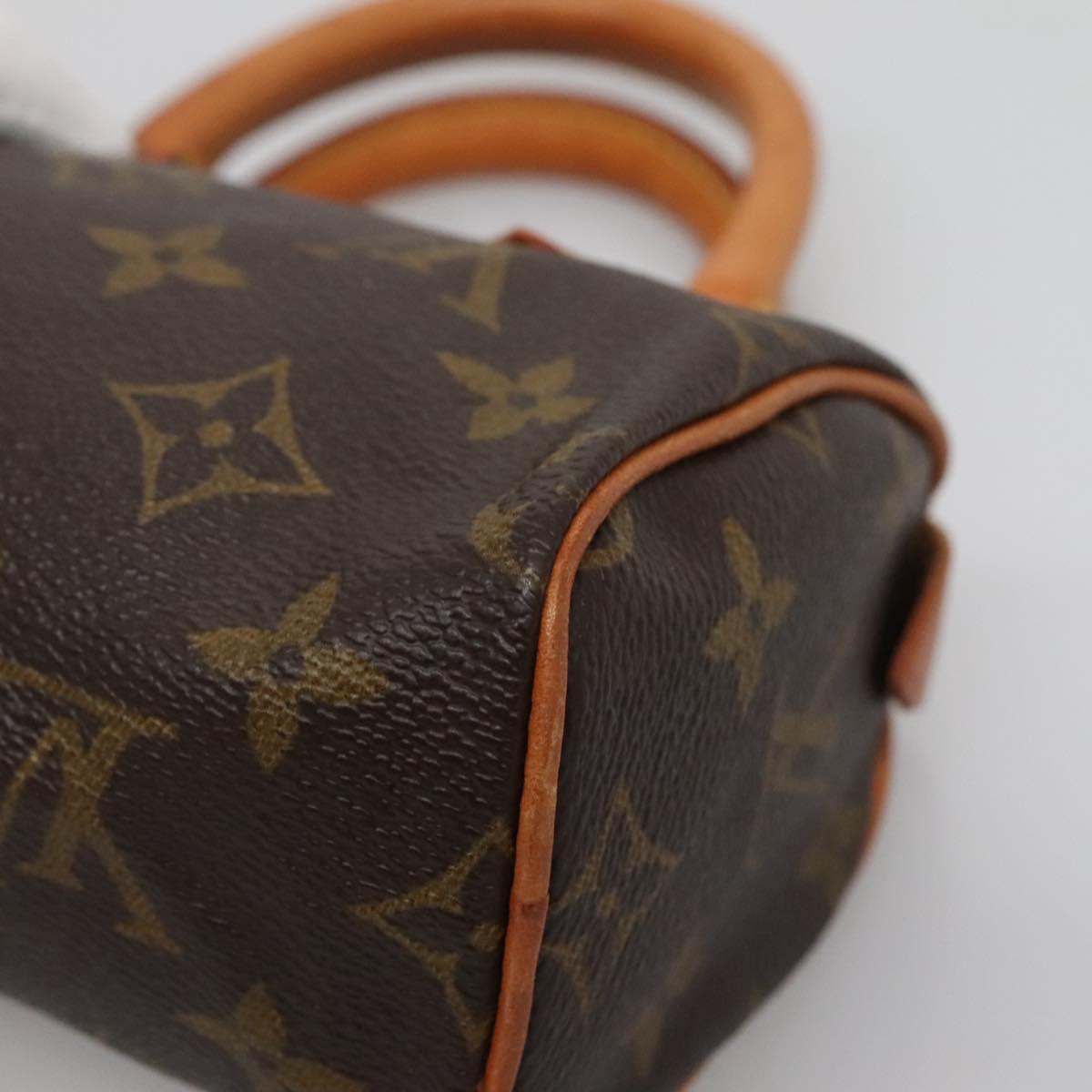 Louis Vuitton Mini speedy