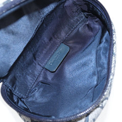 Dior Saddle