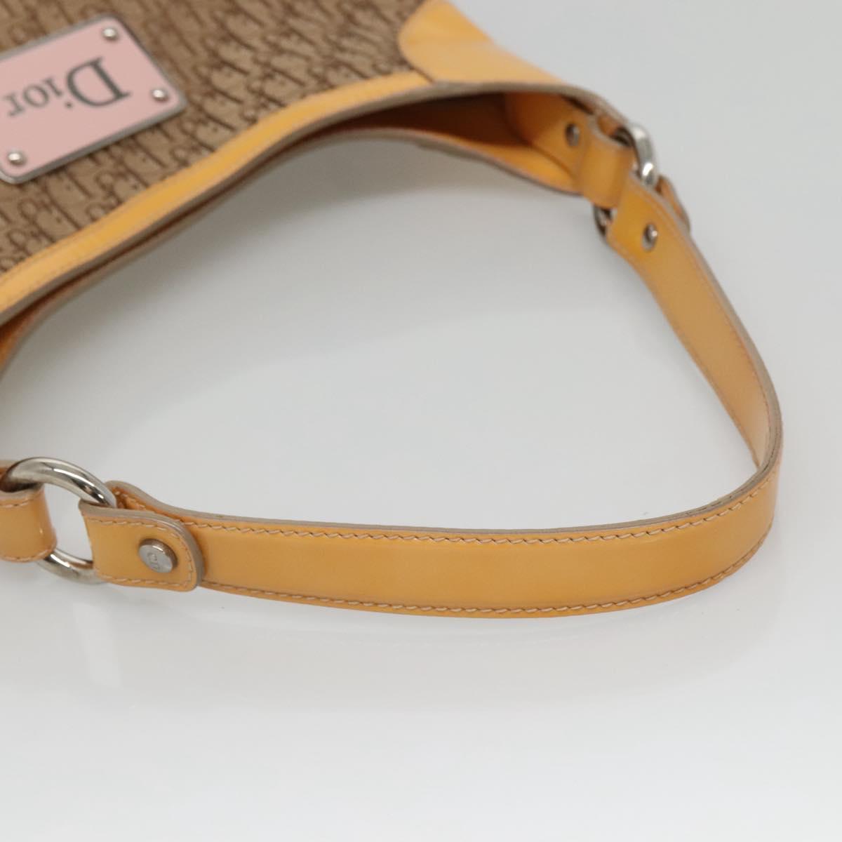 Dior Street Chic Hobo