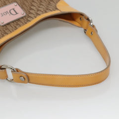 Dior Street Chic Hobo