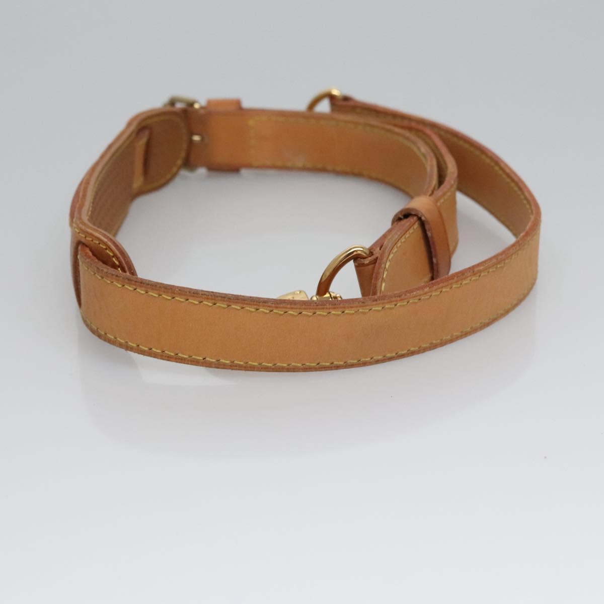 Louis Vuitton Bandoulière de sac