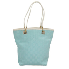Gucci GG canvas
