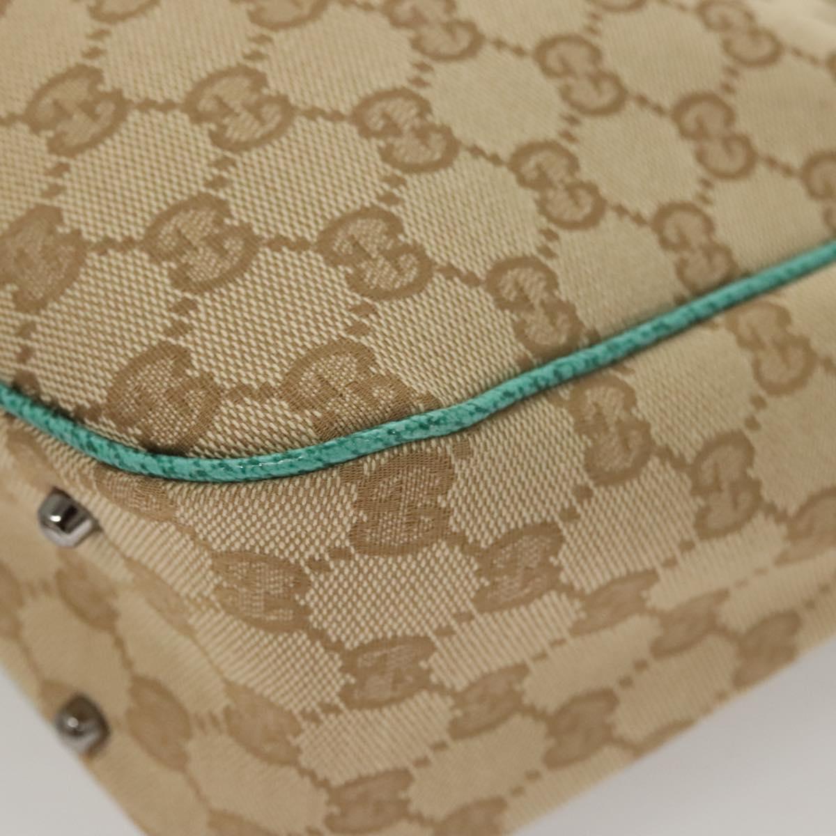Gucci GG canvas
