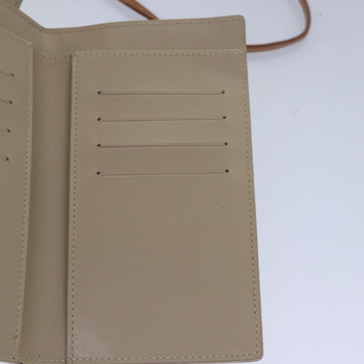 Louis Vuitton Walker