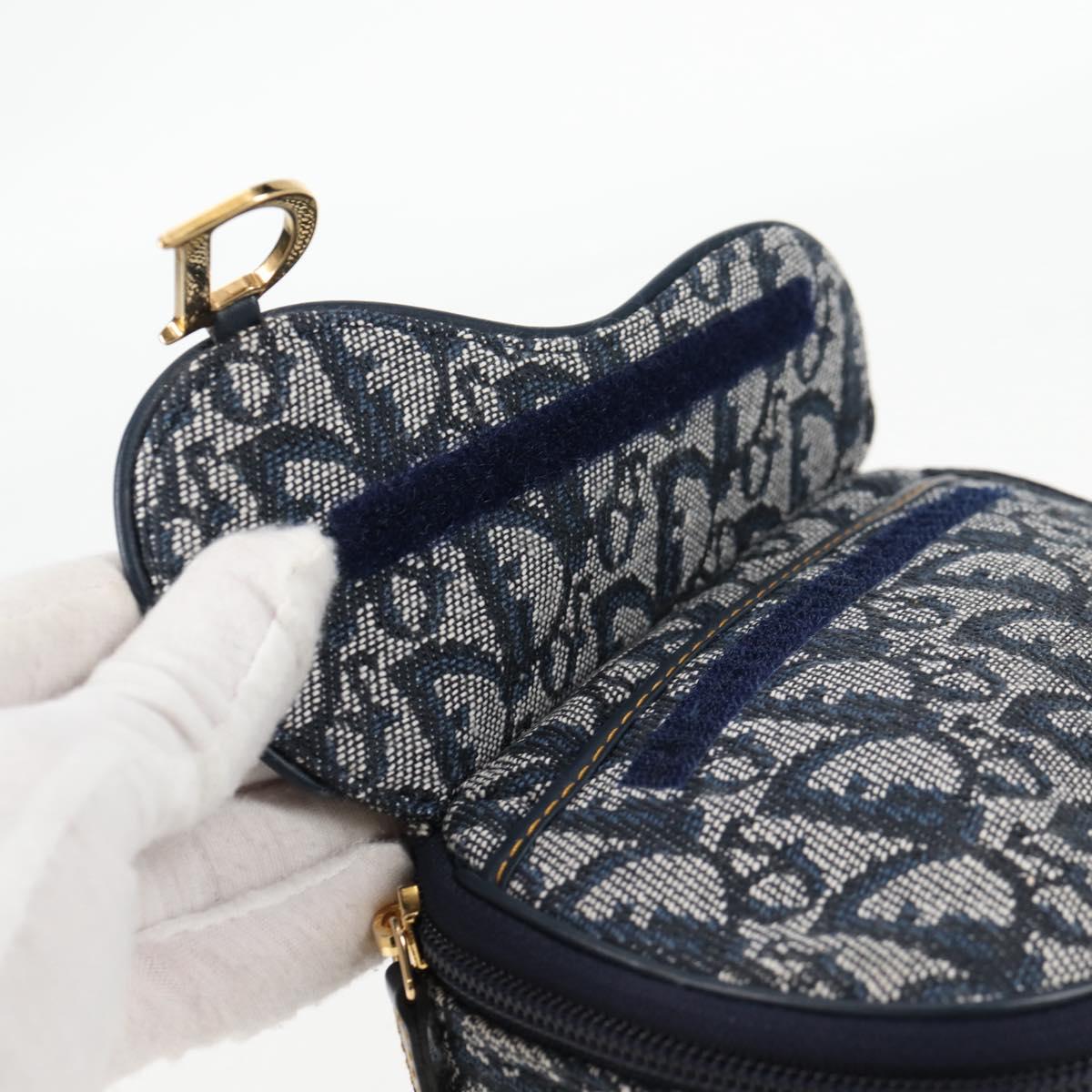 Dior Saddle