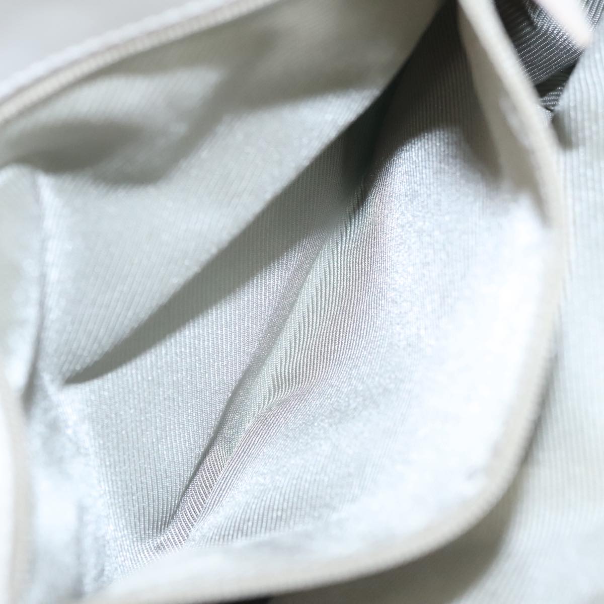 Gucci GG canvas