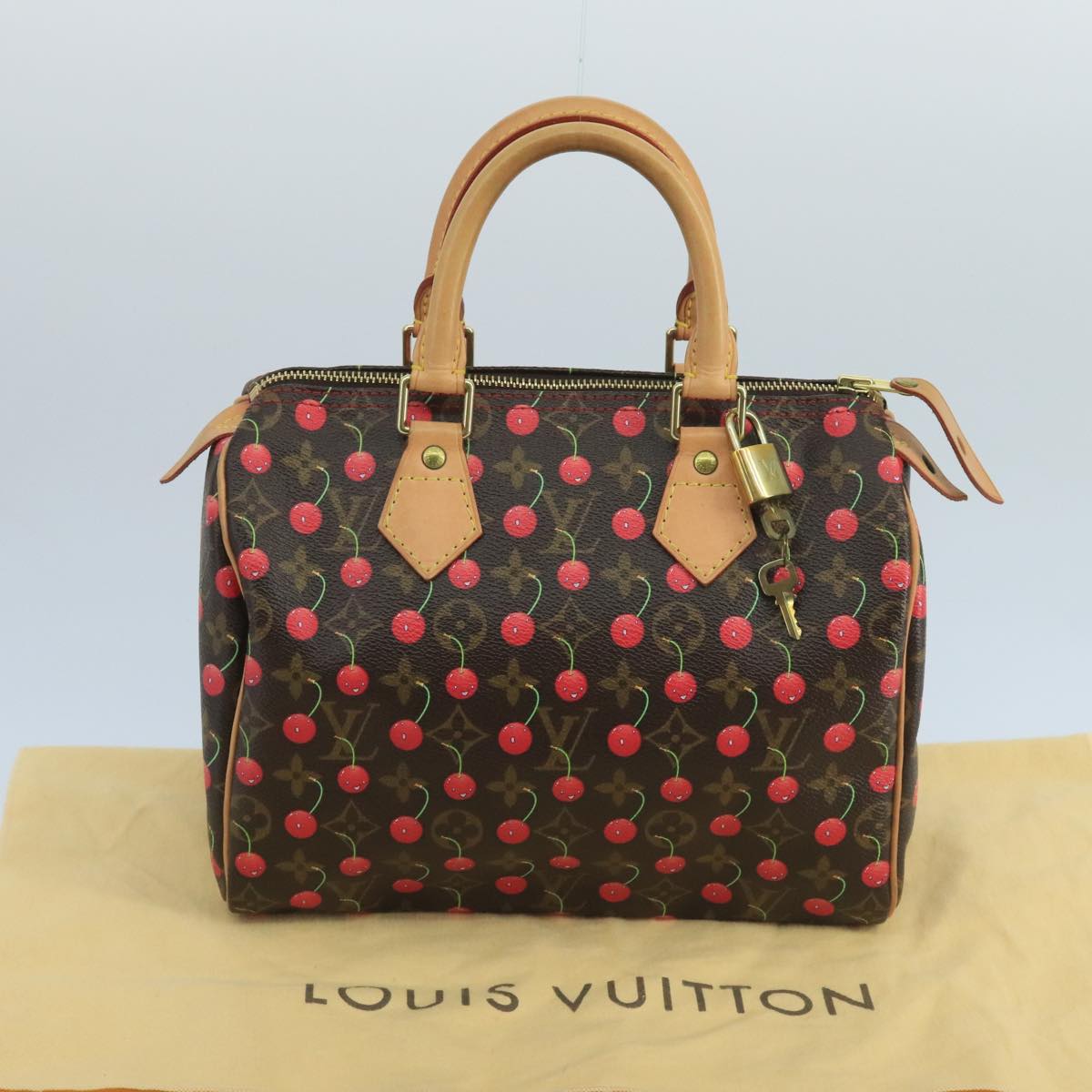 Louis Vuitton Speedy 25