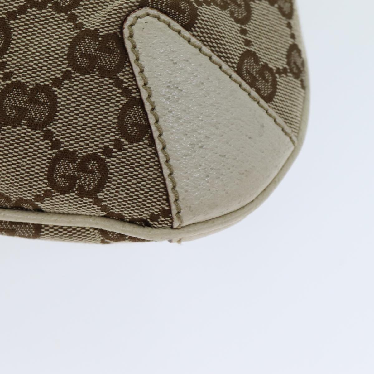 Gucci GG canvas