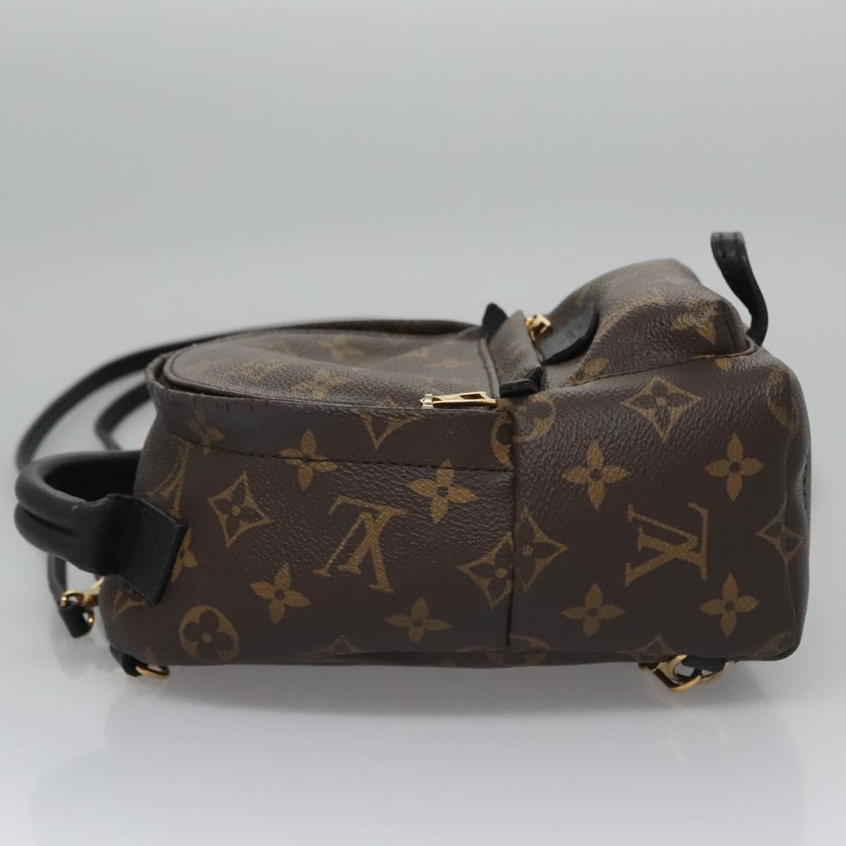 Louis Vuitton Palm Springs mini