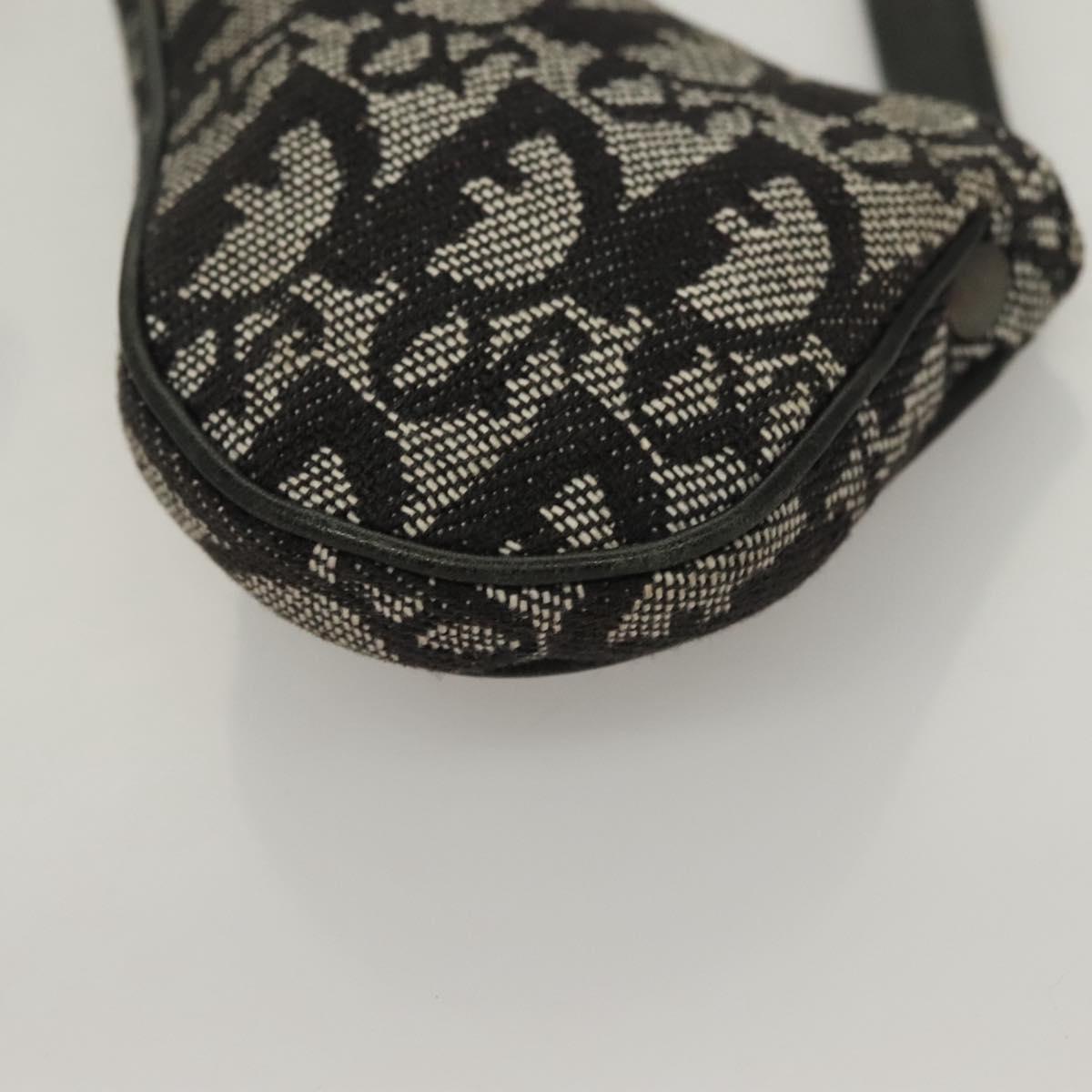 Dior Saddle