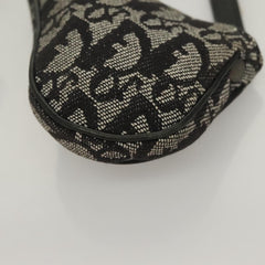 Dior Saddle