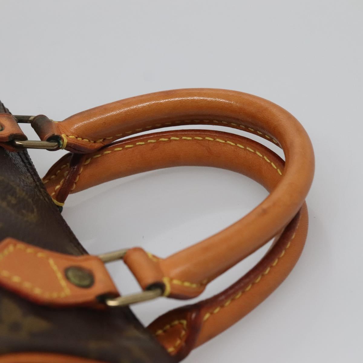 Louis Vuitton Mini speedy