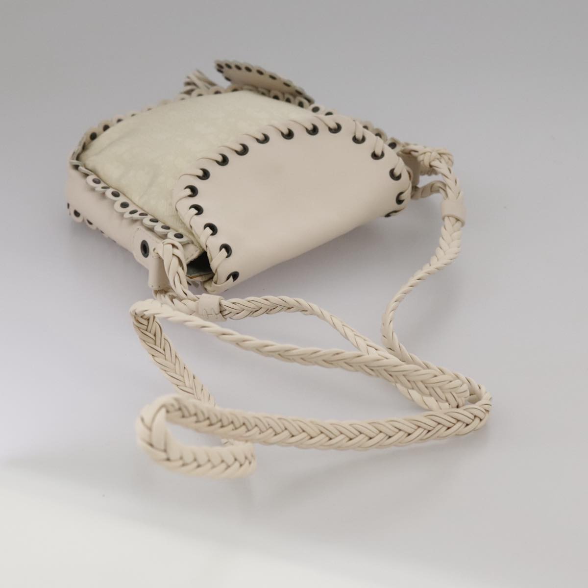 Dior Trotter