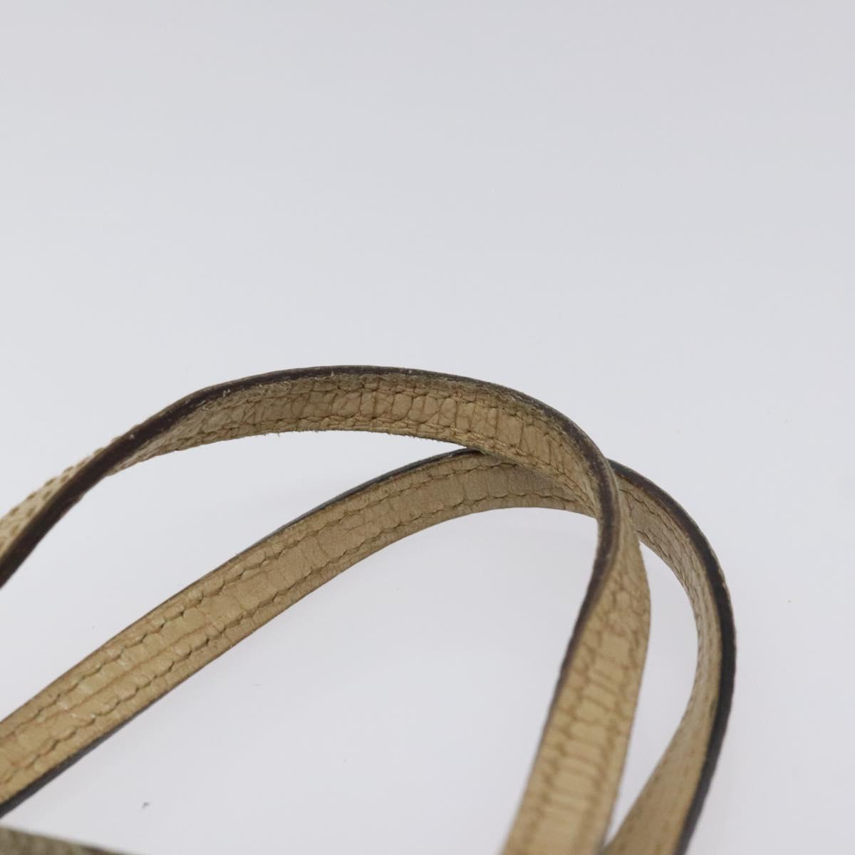 Gucci GG canvas