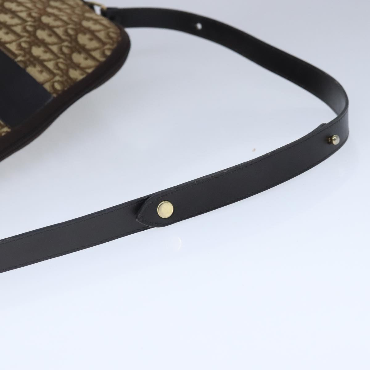 Dior Trotteur