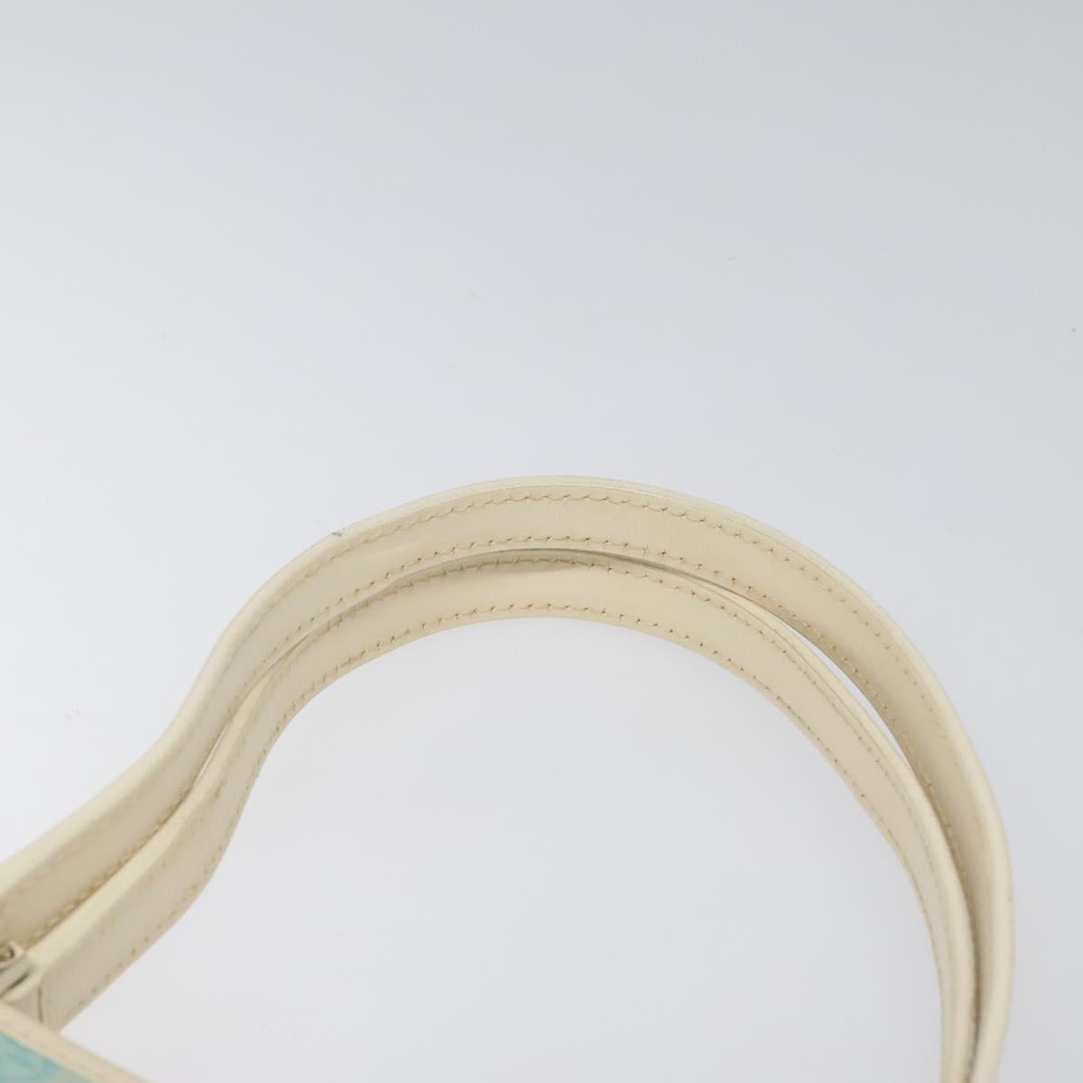 Gucci GG canvas