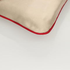 Prada Triangle Logo