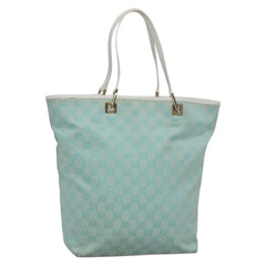 Gucci GG canvas