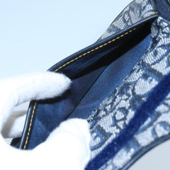 Dior Saddle